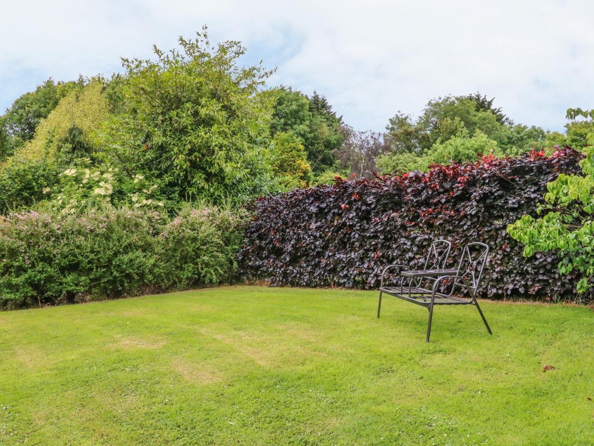 Апартаменты Fig Trees - Wibble Farm Williton Экстерьер фото